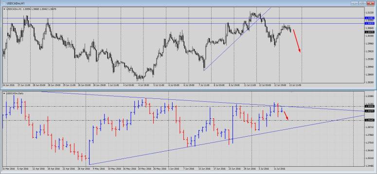 канада 13,07,16