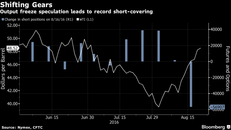 нефть шортсквиз