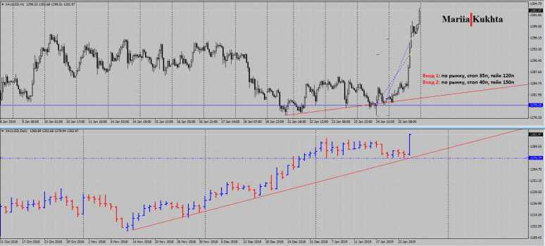 24-25 01 19 золото